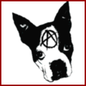 Punk Rock Dogg